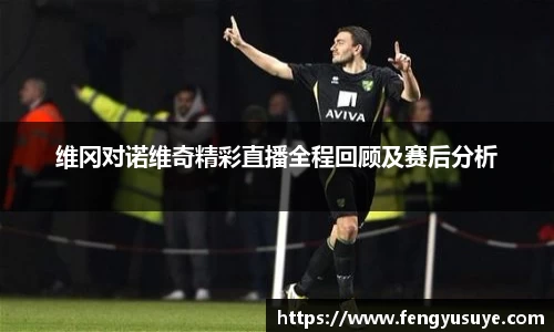 维冈对诺维奇精彩直播全程回顾及赛后分析