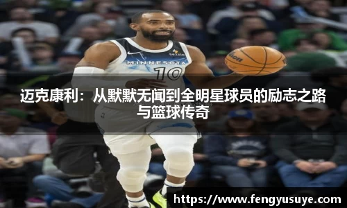 emc易倍体育官方网站